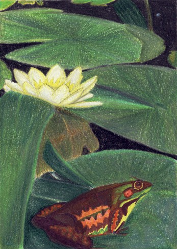 picture